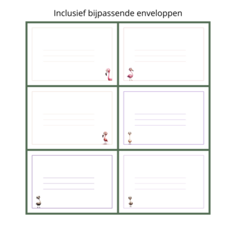 Wenskaarten A6 inclusief envelop set van 10 - Weird Birds 2: Flamingo/Struisvogel