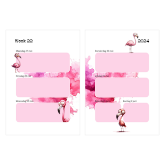 Jaaragenda A5 Gepersonaliseerd - Weird Birds 1