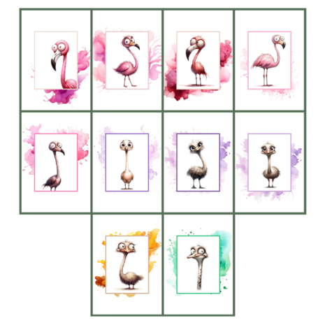 Wenskaarten A6 inclusief envelop set van 10 - Weird Birds 2: Flamingo/Struisvogel