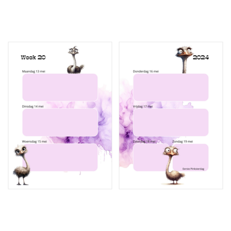 Jaaragenda A5 Gepersonaliseerd - Weird Birds 2